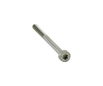 Afbeeldingen van STIHL Spline Screw Is-M5x65x25 D