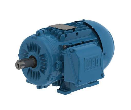 Picture of Em 5Hp 3Ph Rpm3500 2P100L 220/380V-60Hz