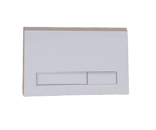 Picture of LECICO Flush Plate