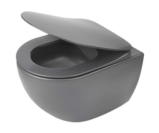 Afbeeldingen van DEANTE Toiletpot, wandmontage, randloos