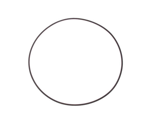 Afbeeldingen van PEDROLLO Pomp O-ring