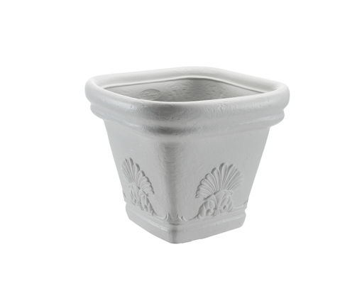 Picture of DIMARTINO Zeus