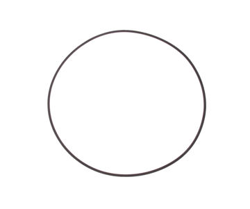 Afbeeldingen van PEDROLLO Pomp O-ring